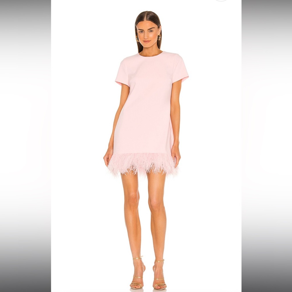 Marullo Dress
LIKELY
Color: Rose Shadow